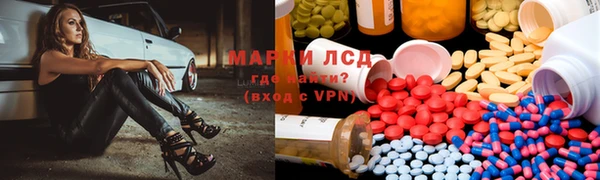 стафф Михайловск