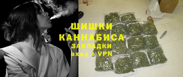 стафф Михайловск