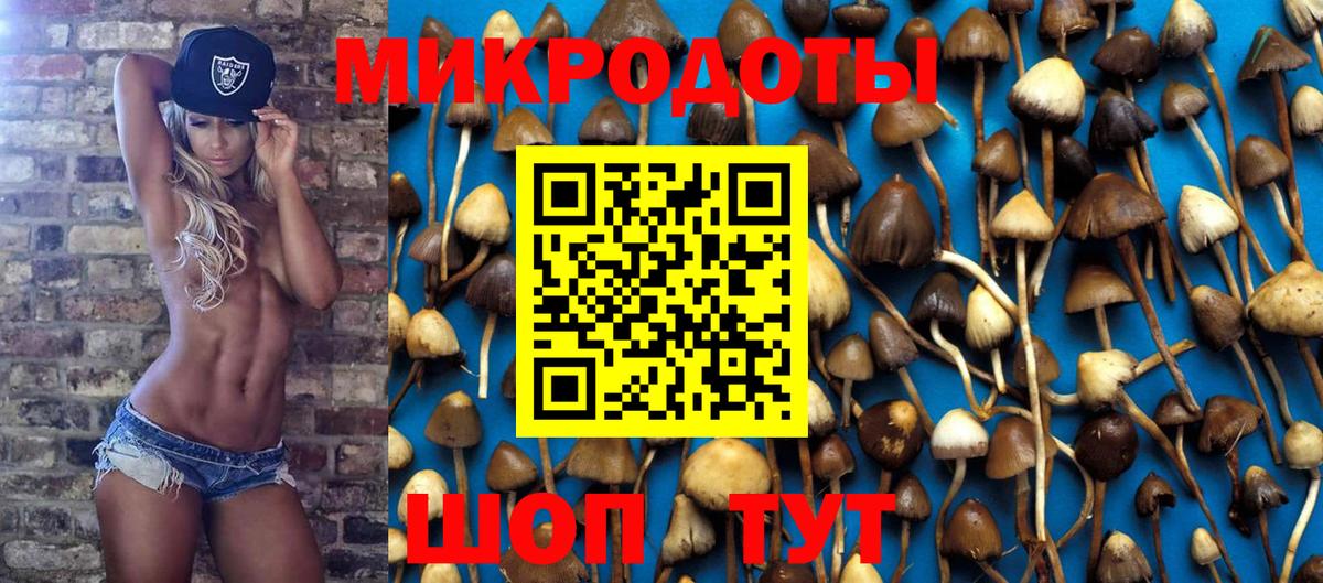 Галлюциногенные грибы прущие грибы  Галлюциногенные грибы Psilocybe  Вход с VPN  Саратов 